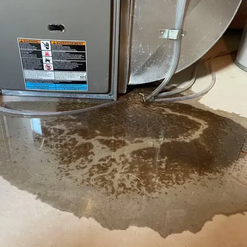 Appliance Leak Cleanup in Newcastle, WA